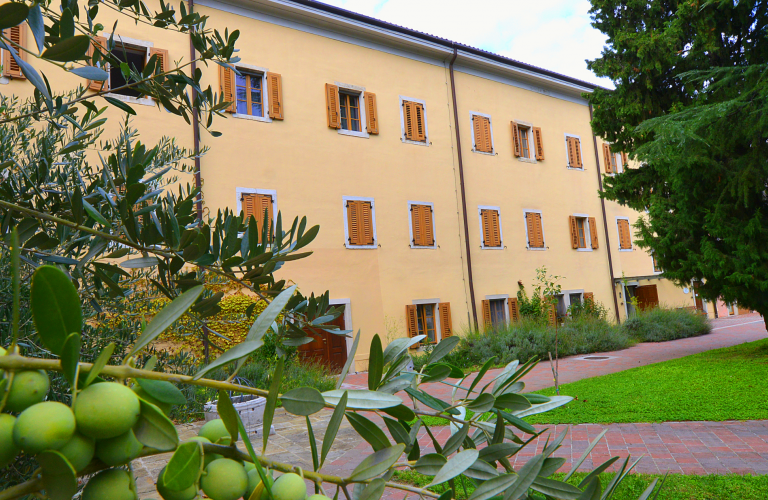Prihod frančiškanov in zidava samostana Prihod frančiškanov in zidava samostana