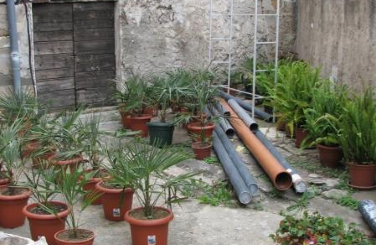 Frančiškanski Samostan Koper zaključna dela 2008 Frančiškanski Samostan Koper zaključna dela 2008