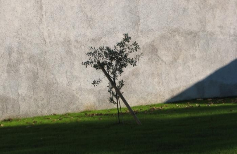 Frančiškanski Samostan Koper zaključna dela 2008 Frančiškanski Samostan Koper zaključna dela 2008